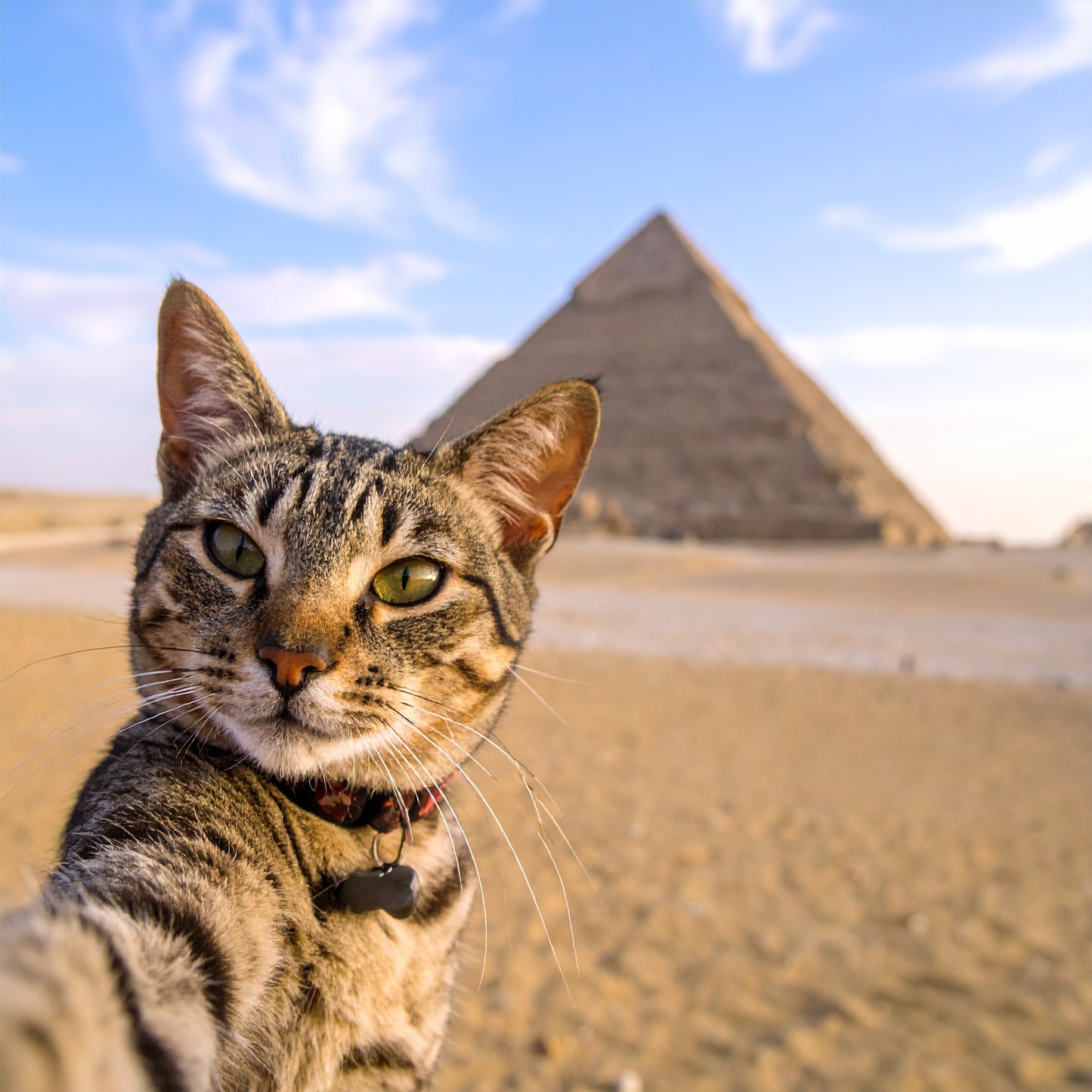 Sphinxter