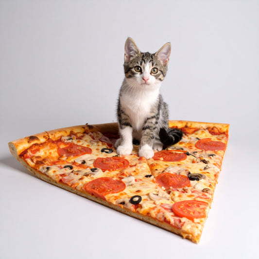 Pizzacat